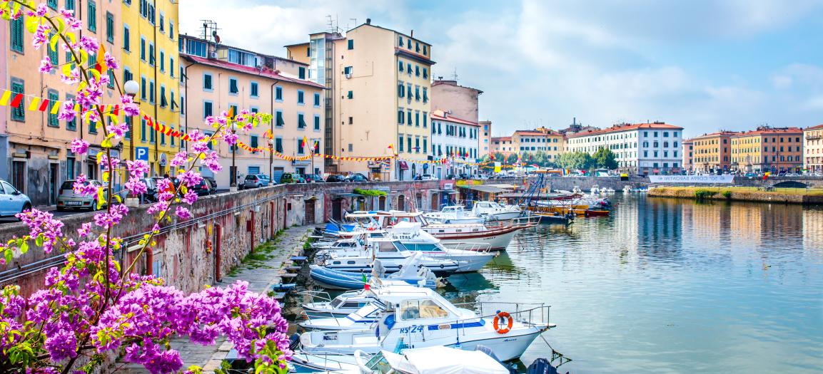 cruise WMZ_Livorno