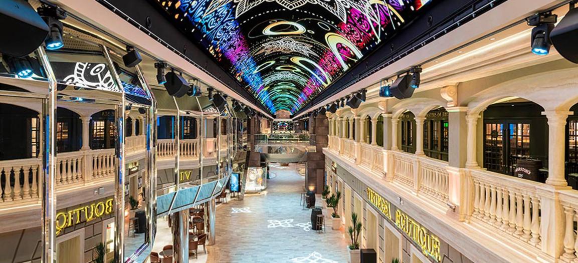 MSC Euribia (****)