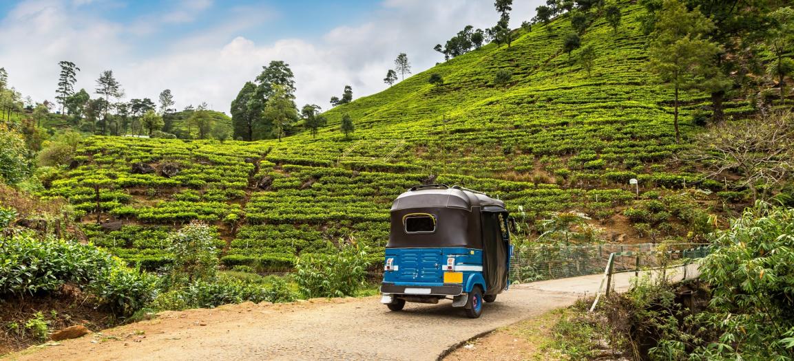 Sri Lanka - tuktuk R.jpg