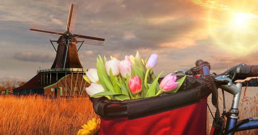 Friesland