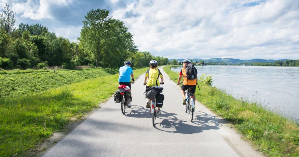Donau fietsen.jpg