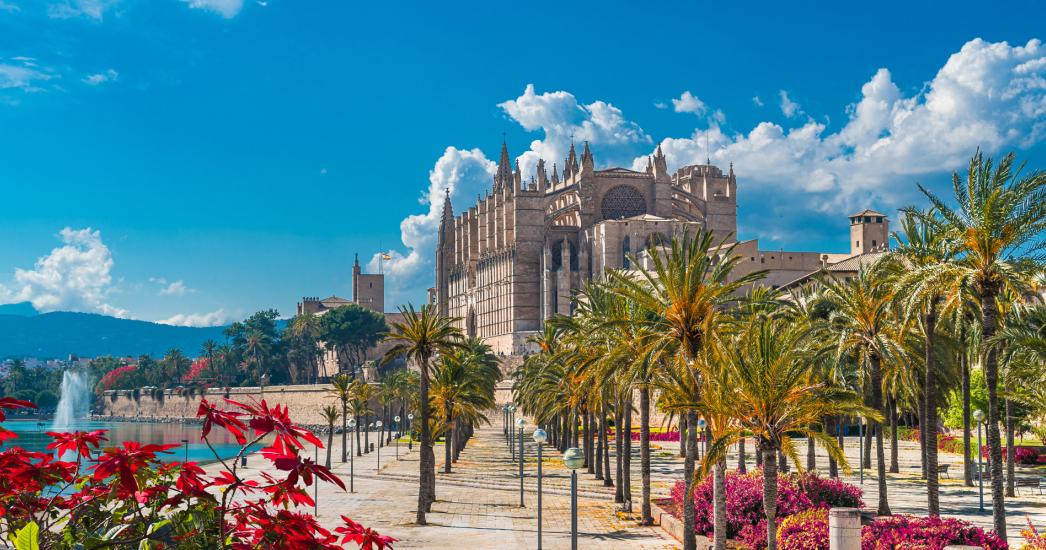 PALMA MALLORCA kathedraal palm.jpg