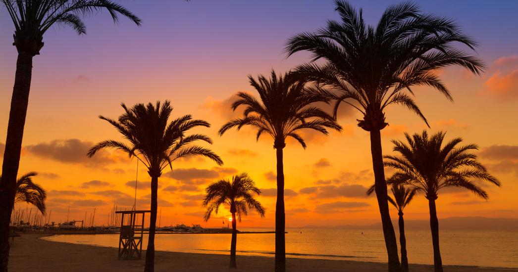 PALMA MALLORCA sunset.jpg