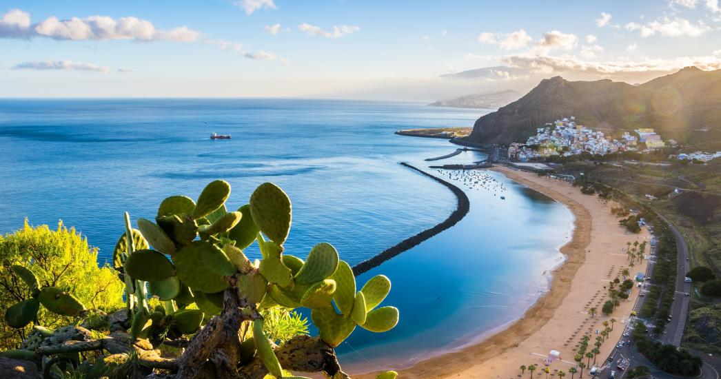 TENERIFE baai cactus.jpg