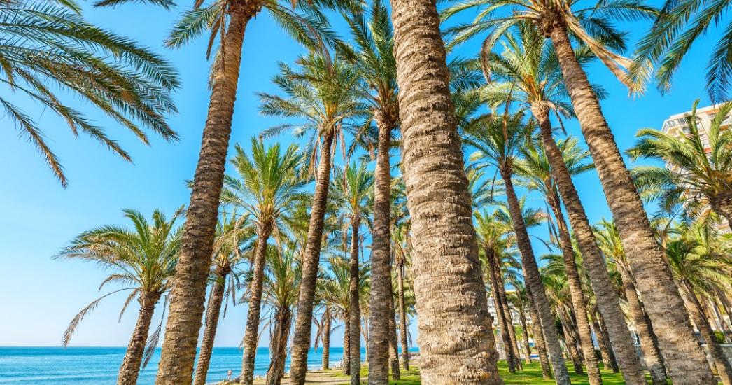Malaga