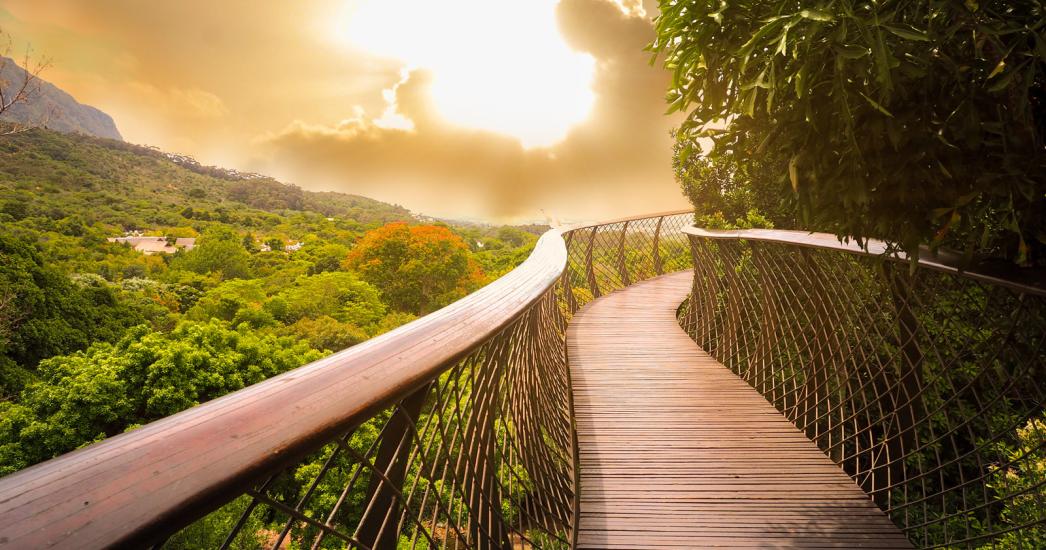 ZA KAAPSTAD KIRSTENBOSCH