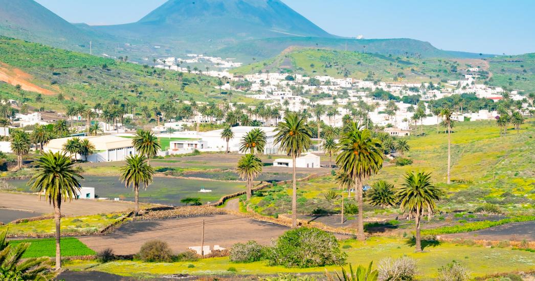 Lanzarote_Haria.jpg