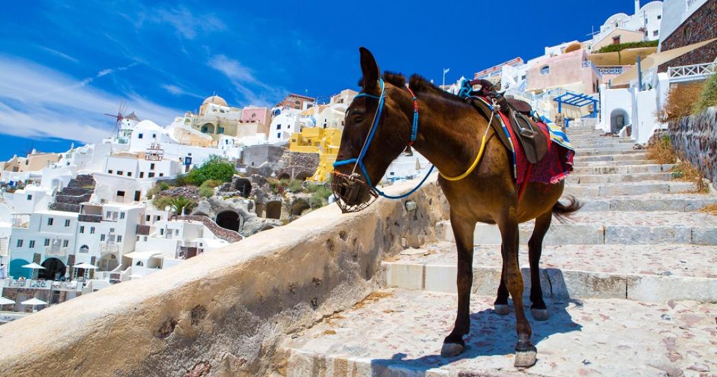 Santorini ezel 