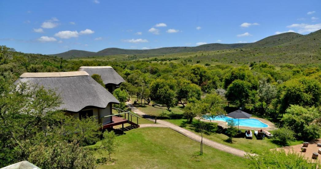 Zuid Afrika Garden Route Safari Camp