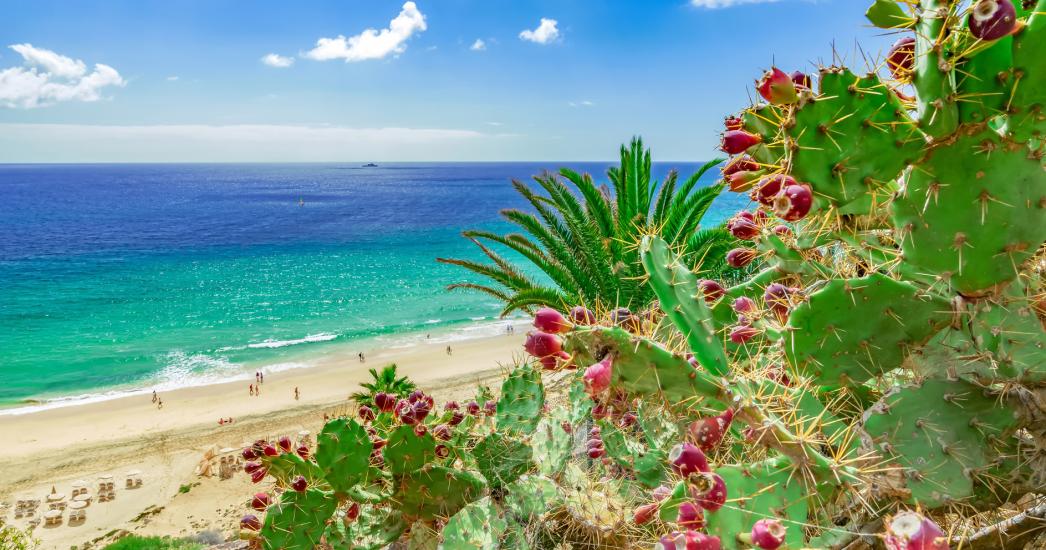 Spanje Fuerteventura