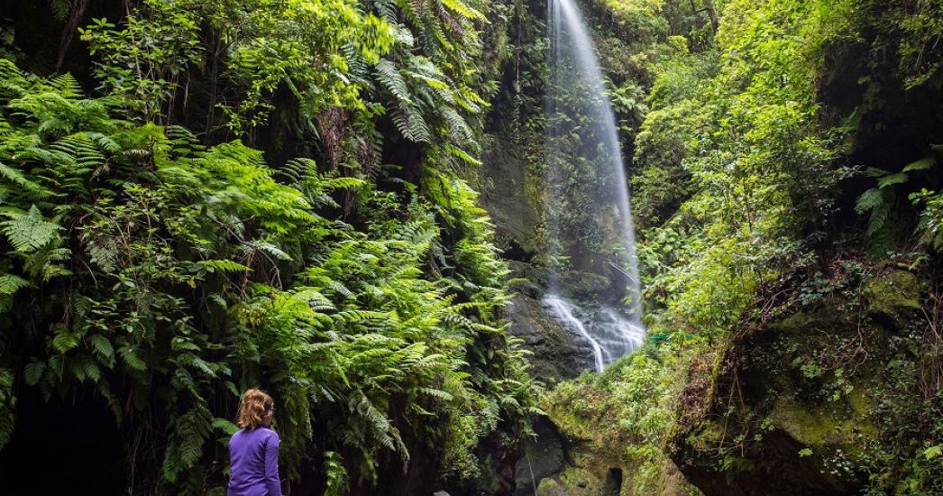Spanje La Palma