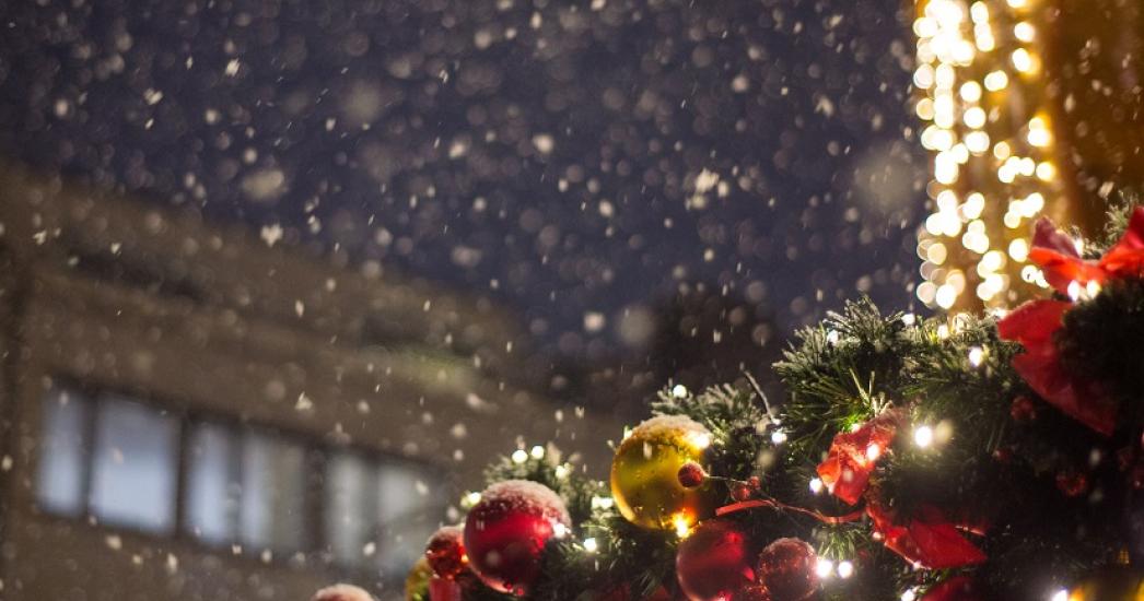Kerstcruise-kerstboom-lichtjes