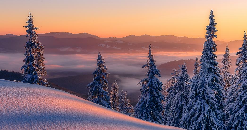 Lapland - Zweden - Sneeuw