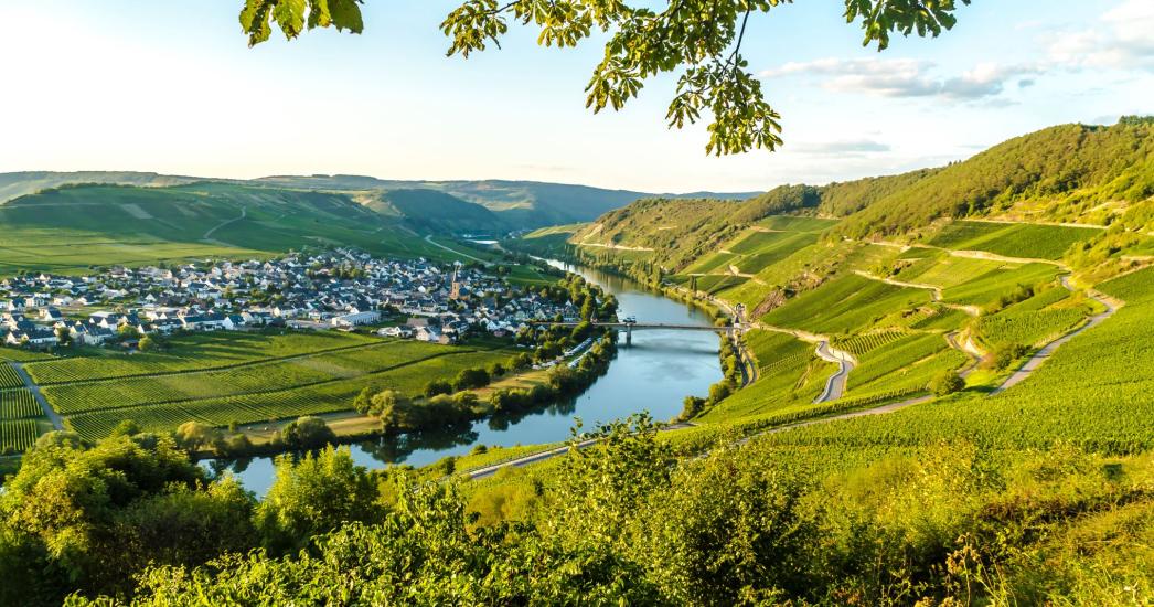 Duitsland - Trittenheim