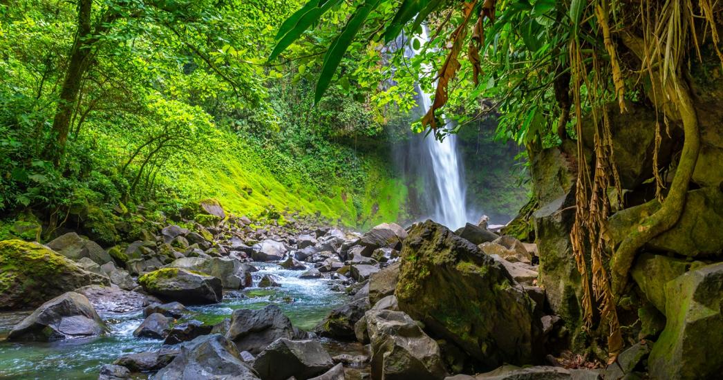 Costa Rica - La Fortuna waterval R.jpg