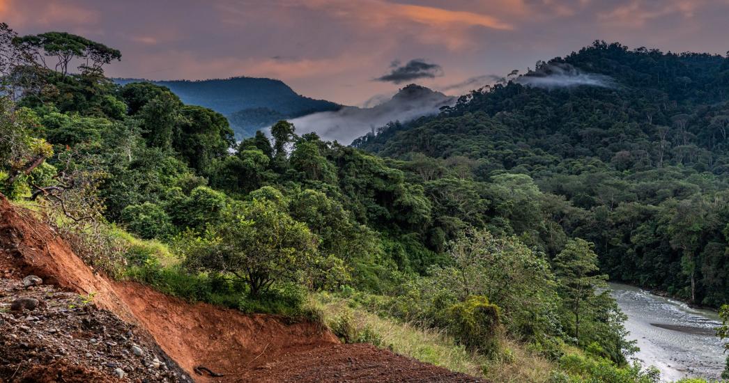 Costa Rica - Tortuguero National Park R.jpg