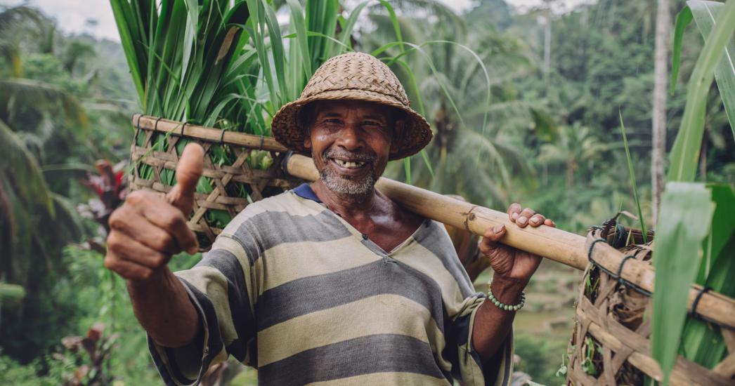 Bali boer farmer (1).jpg