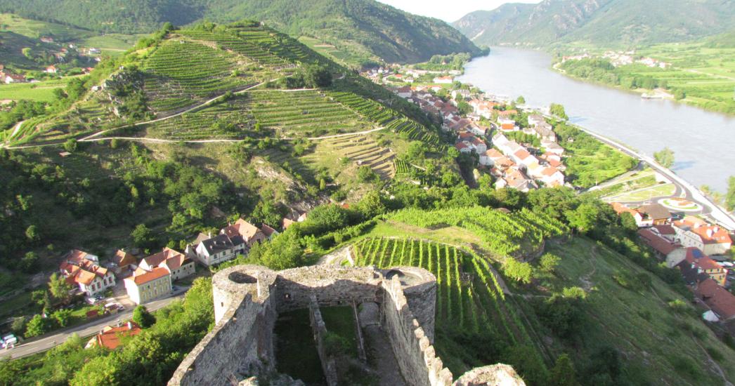 Donau Dürnstein Ruïne.jpg