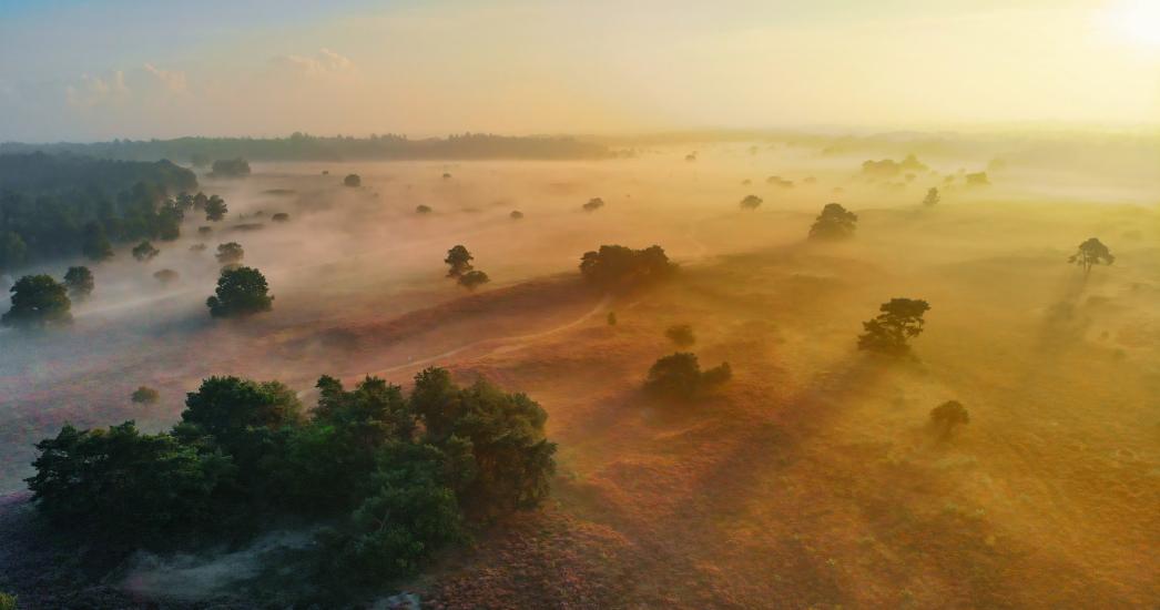 Nederland Veluwe IJssel Veluwe (9).jpg