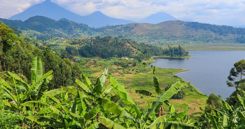 Oeganda Equator (2).jpg