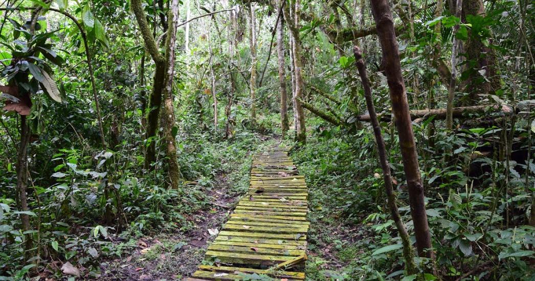 Oeganda Kibale (3).jpg