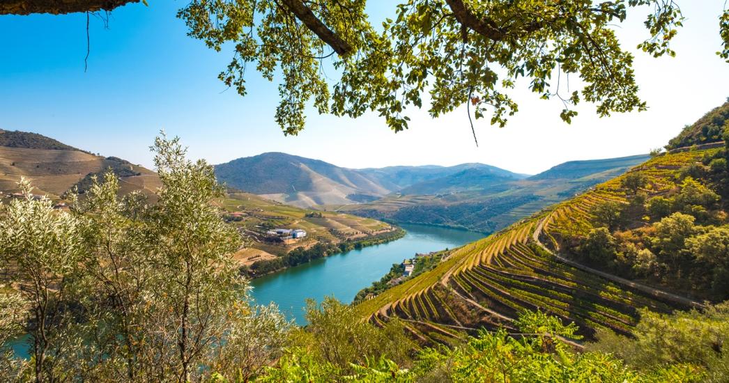 Douro 