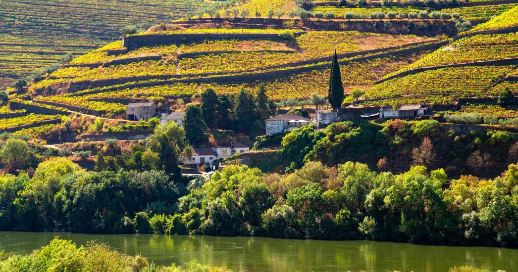 douro 