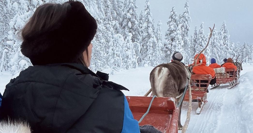 Lapland Shana6.jpg