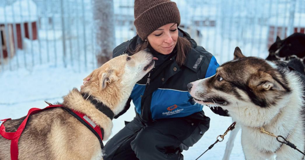 Lapland Shana9.jpg