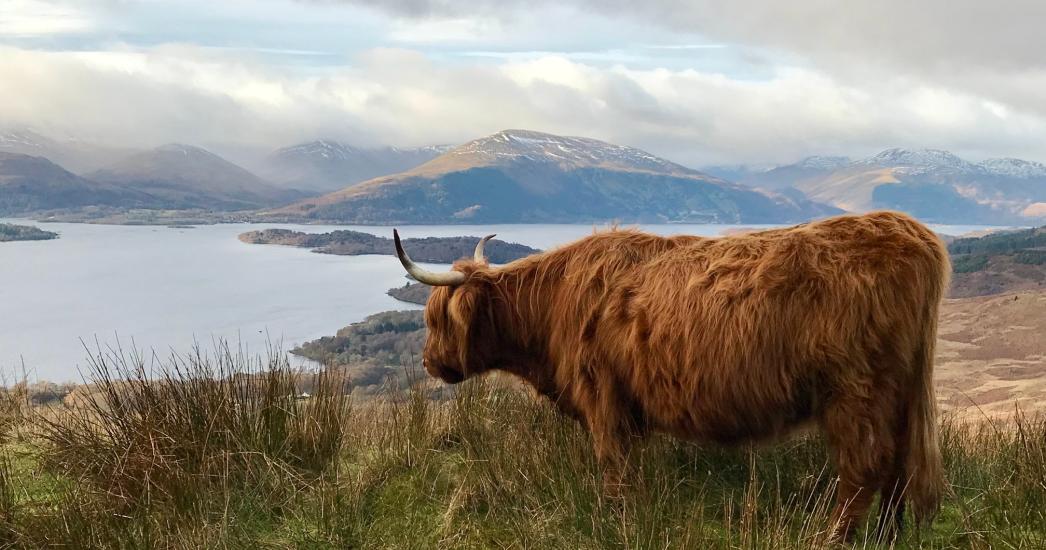 Loch Lomond
