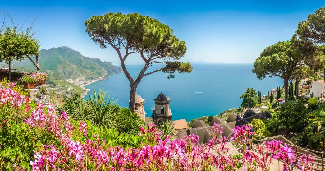 Italië -Amalfi - Kust - Roze Bloemen