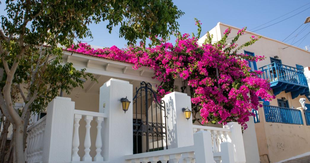 Griekse eilanden - Chalki - huizen