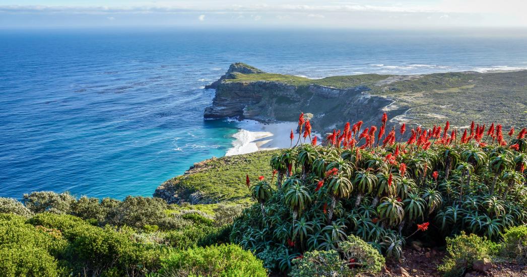 ZA KAAPSTAD CAPE POINT (6).jpg