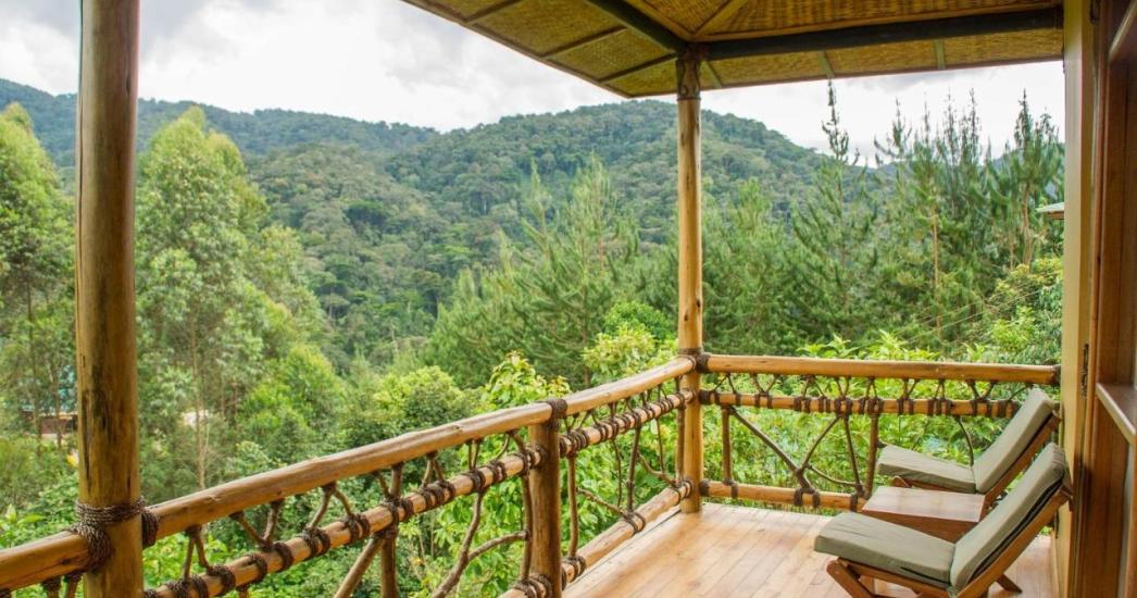 Oeganda Bwindi Ichumbi Gorilla Lodge