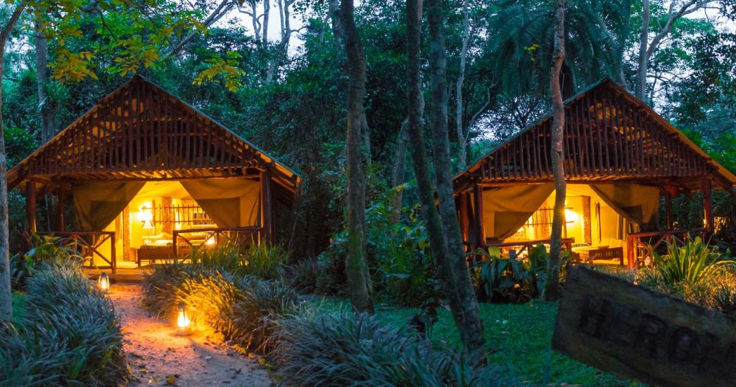 Oeganda Kibale Forest Camp