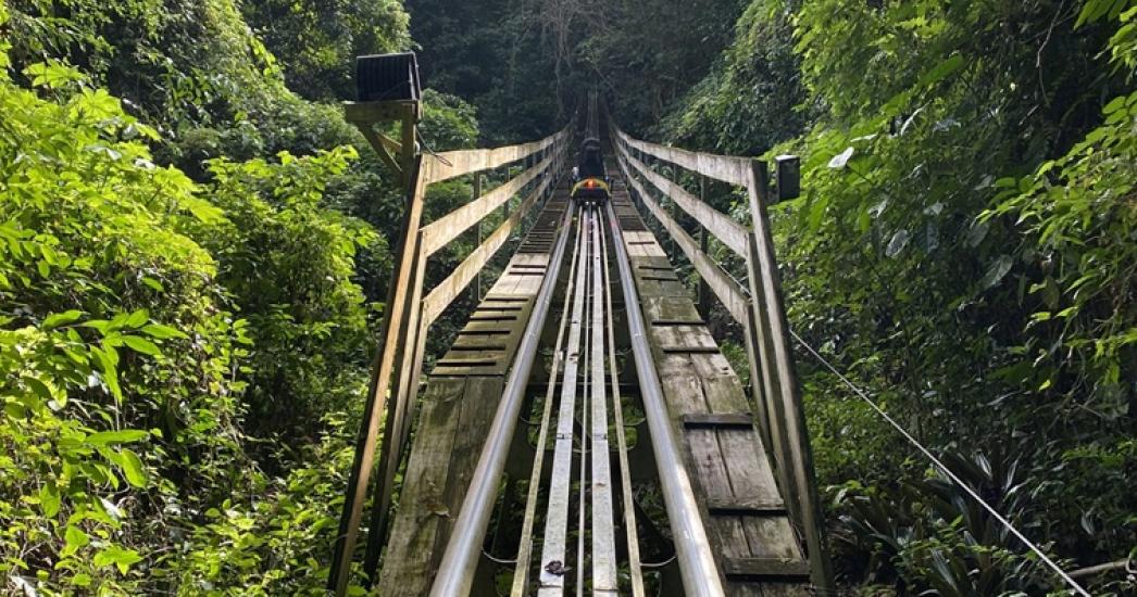 Jamaica bobsled 