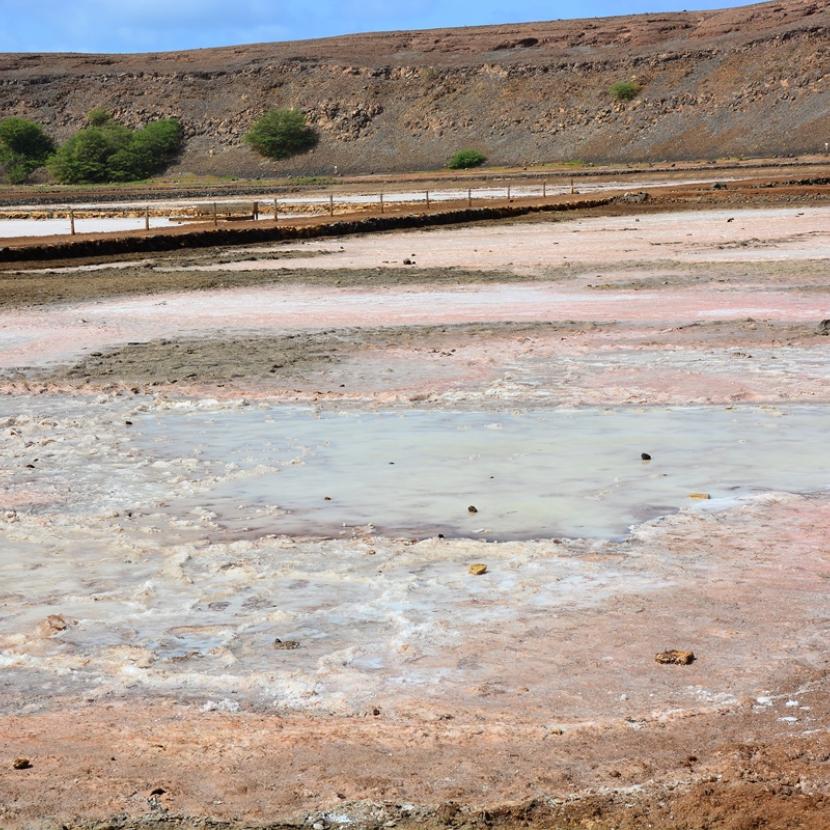 KAAPVERDIE SAL ZOUTMEER